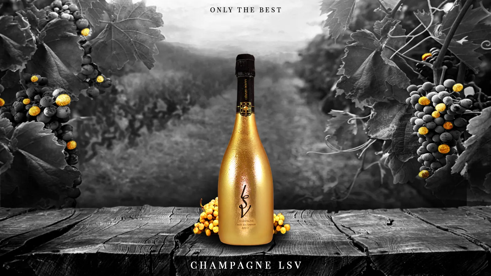 Bouteille de champagne LSV dorée posée devant des vignes